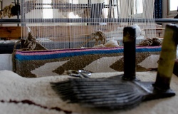 ASSAK Association de Soutien aux Artisanes de Kroumirie